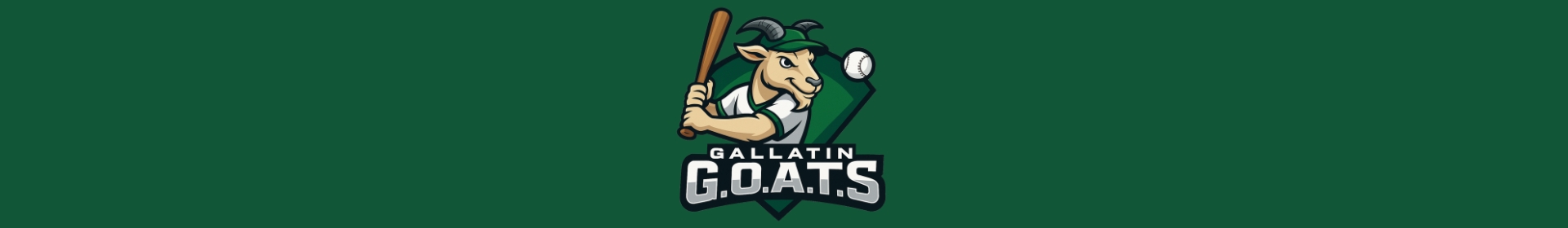 Gallatin website banner